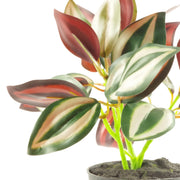 20cm Mini Artificial Tradescantia Zebrina Zebra Stripe Plant