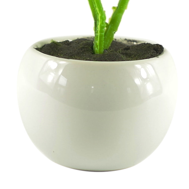 20cm Mini Desktop Artificial Bonsai Ficus in Ceramic Planter