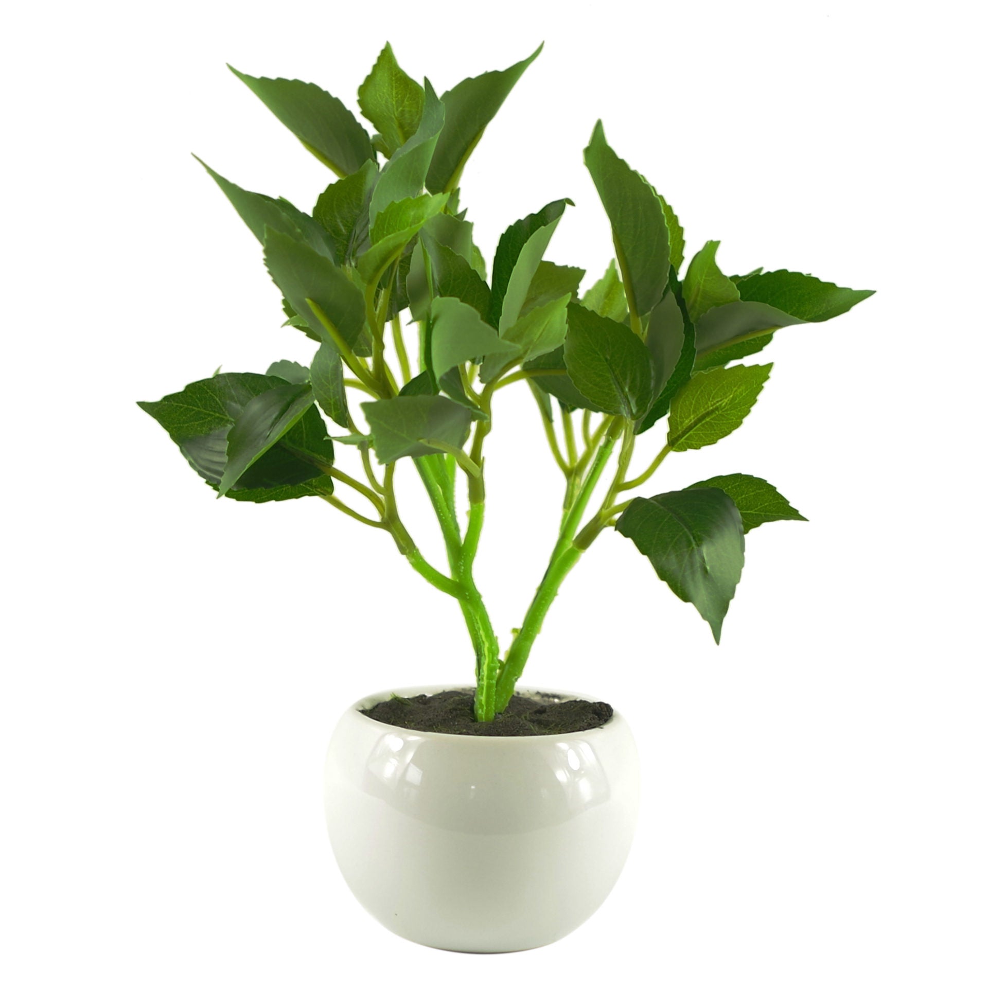 20cm Mini Desktop Artificial Bonsai Ficus in Ceramic Planter