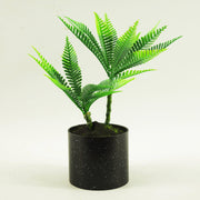 CLEARANCE 22cm Micro Palm Desktop Plant