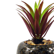 18cm Ceramic Spotted Planter with Artificial Red Dracaena Plant