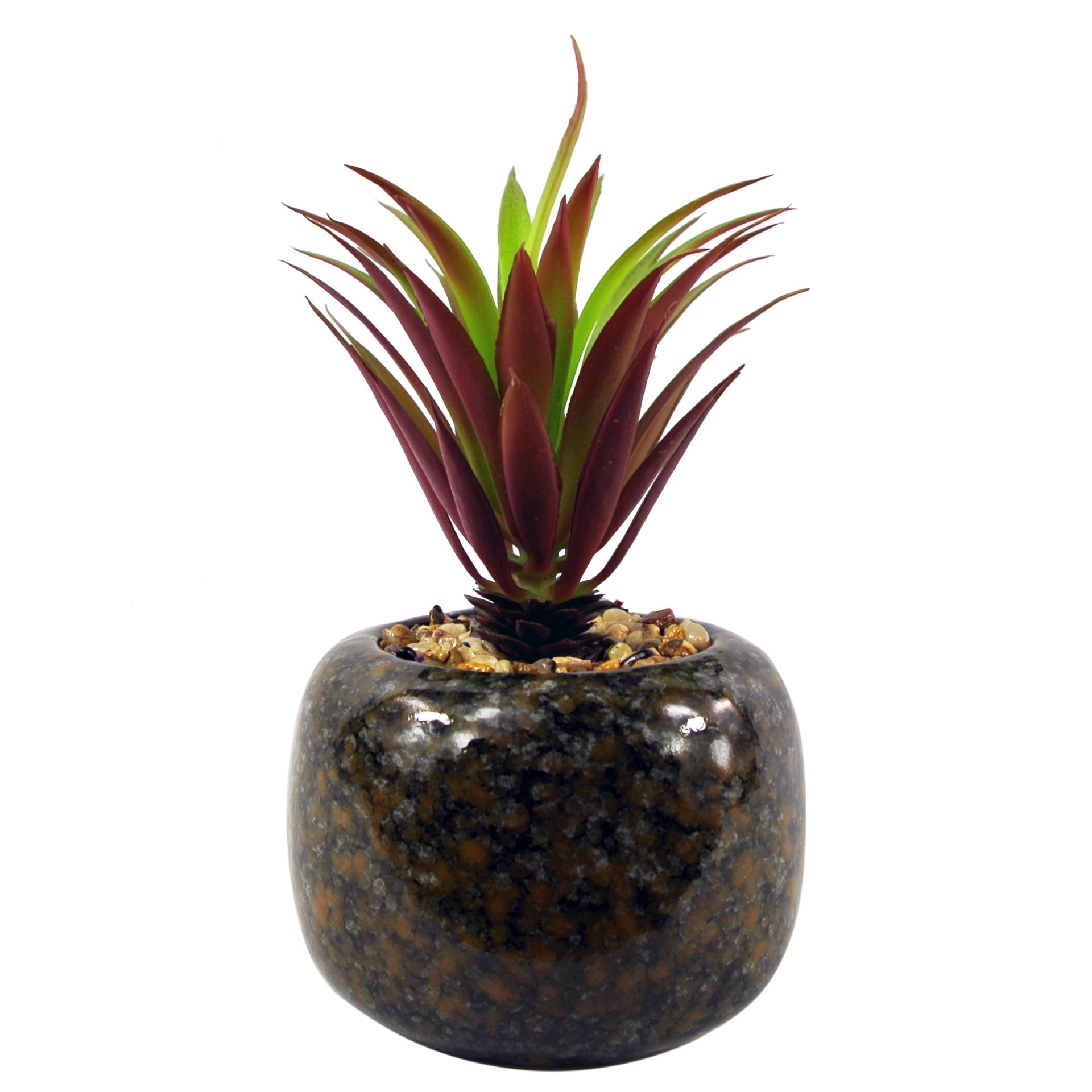 18cm Ceramic Spotted Planter with Artificial Red Dracaena Plant