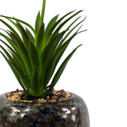 18cm Ceramic Spotted Planter with Artificial Green Dracaena Plant