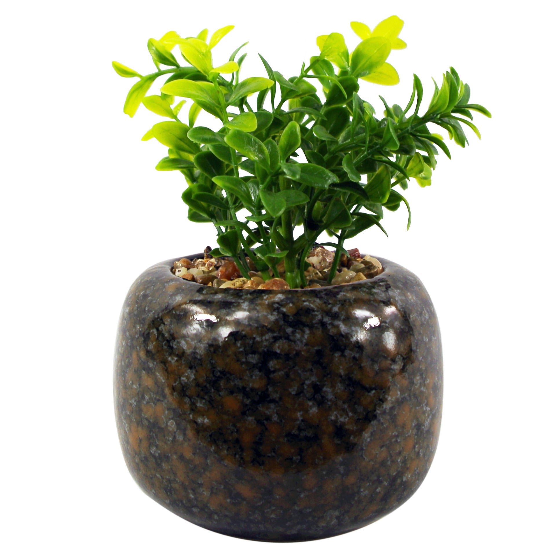 16cm Ceramic Spotted Planter with Artificial Crassula Plant