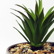 18cm Ceramic Blue Dish Planter with Artificial Green Dracaena Plant