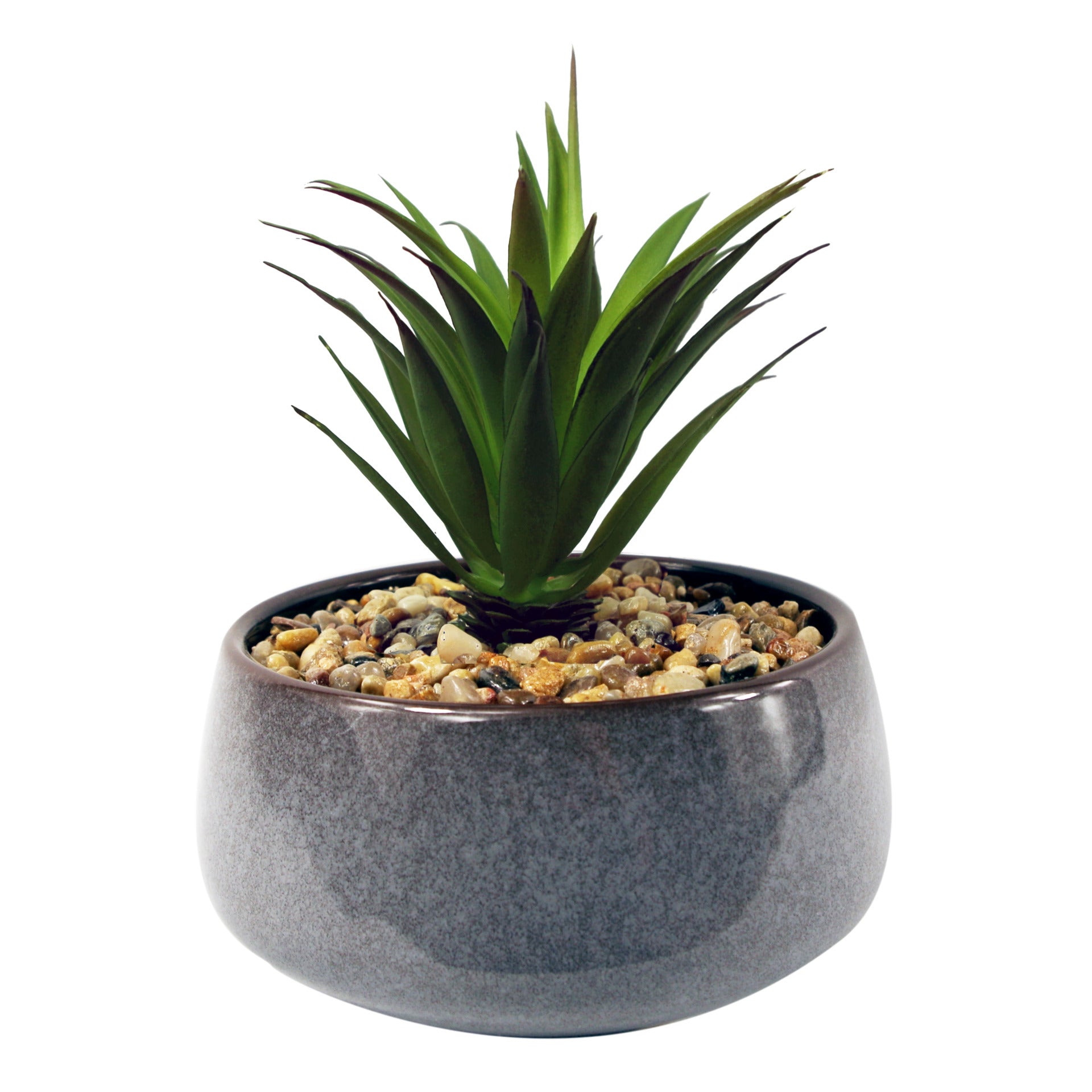 18cm Ceramic Blue Dish Planter with Artificial Green Dracaena Plant