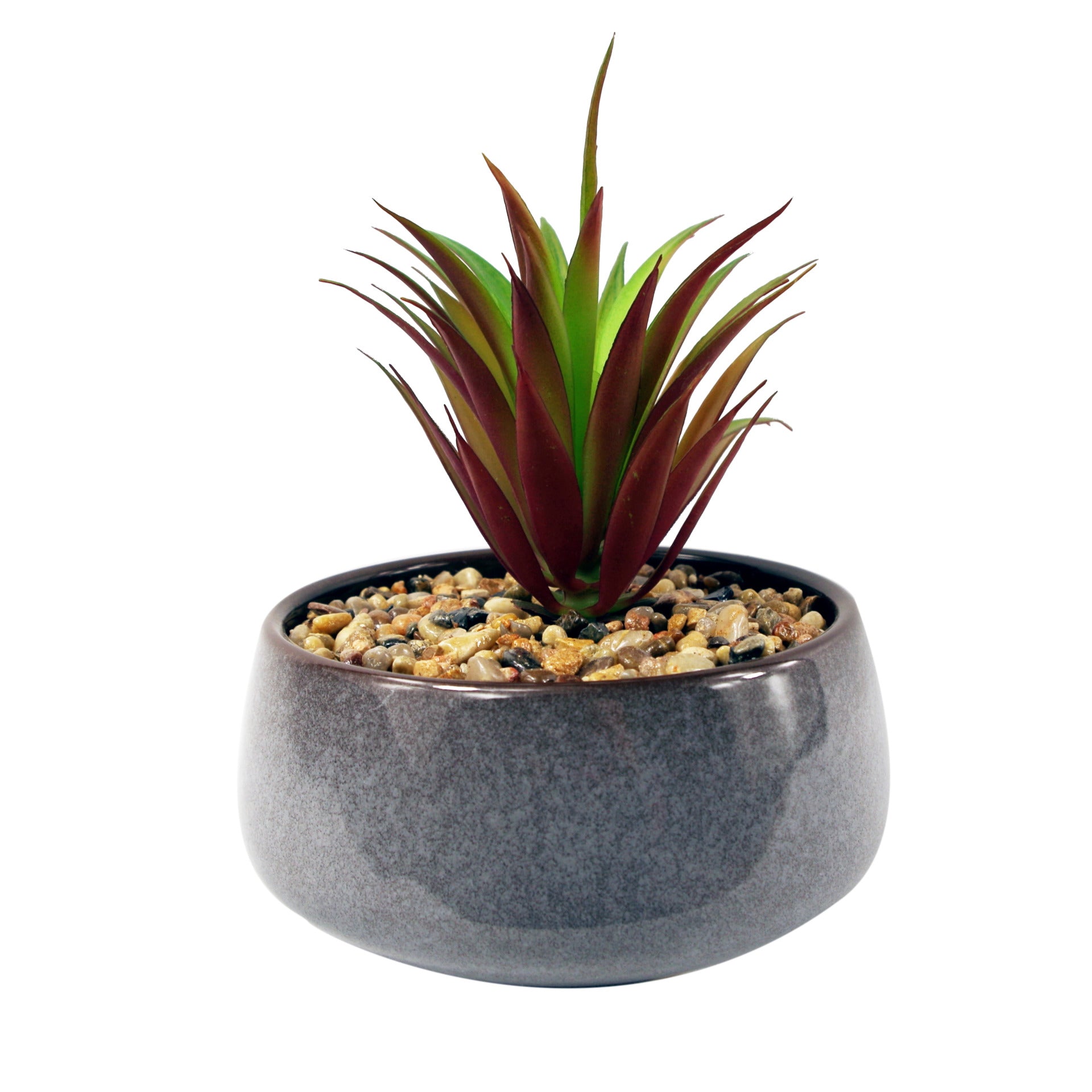 18cm Ceramic Blue Dish Planter with Artificial Red Dracaena Plant