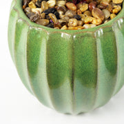 20cm Ceramic Green Glazed Barrel Planter with Artificial Red Dracaena Plant