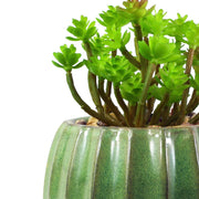 18cm Ceramic Green Glazed Barrel Planter with Artificial Sedum Clavatum Plant