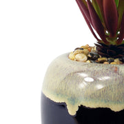 20cm Ceramic Drip Glazed Planter with Artificial Red Dracaena Plant