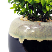 18cm Ceramic Drip Glazed Planter with Artificial Crassula Plant