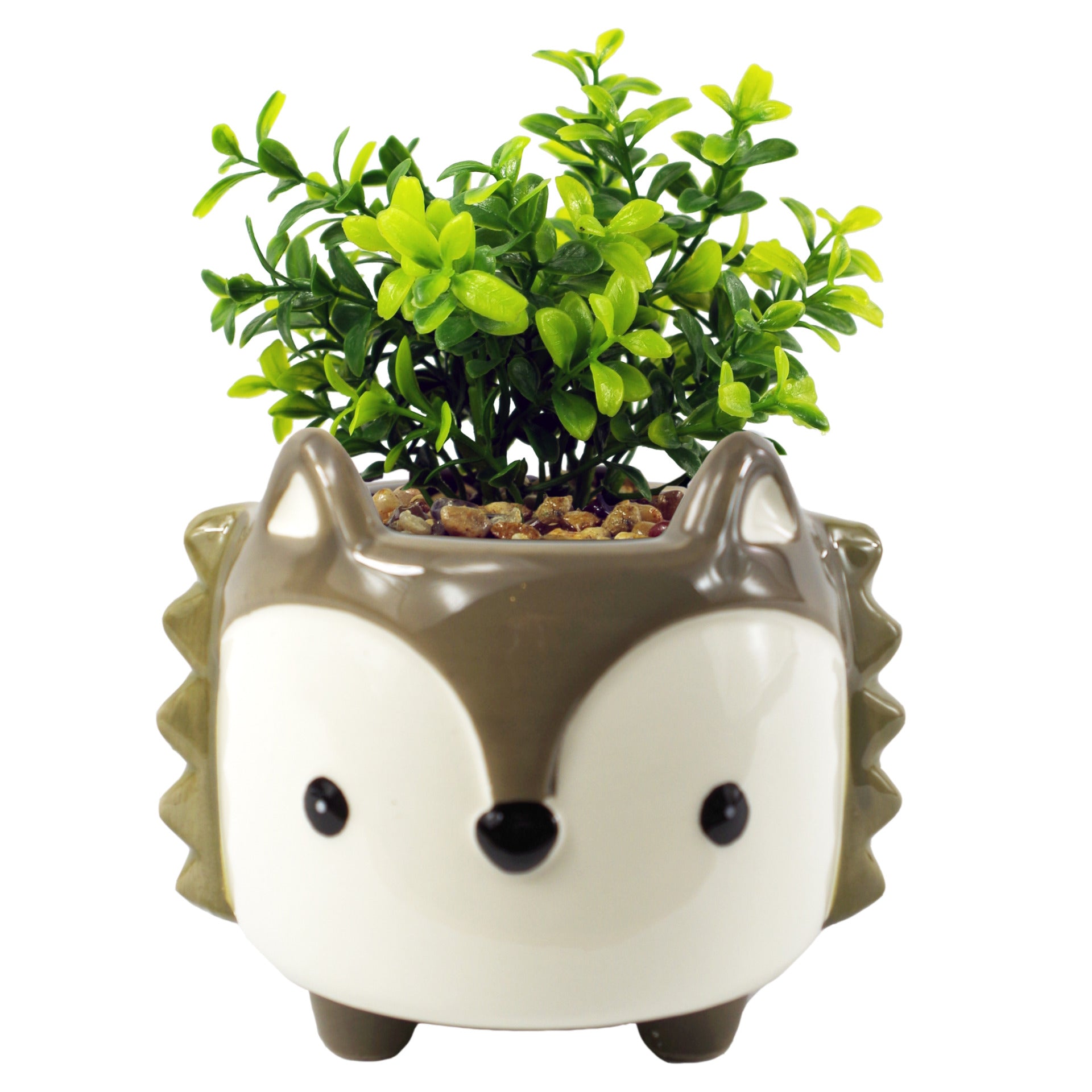 15cm Ceramic Grey Fox Planter with Artificial Crassula Plant