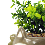 15cm Ceramic Grey Fox Planter with Artificial Crassula Plant