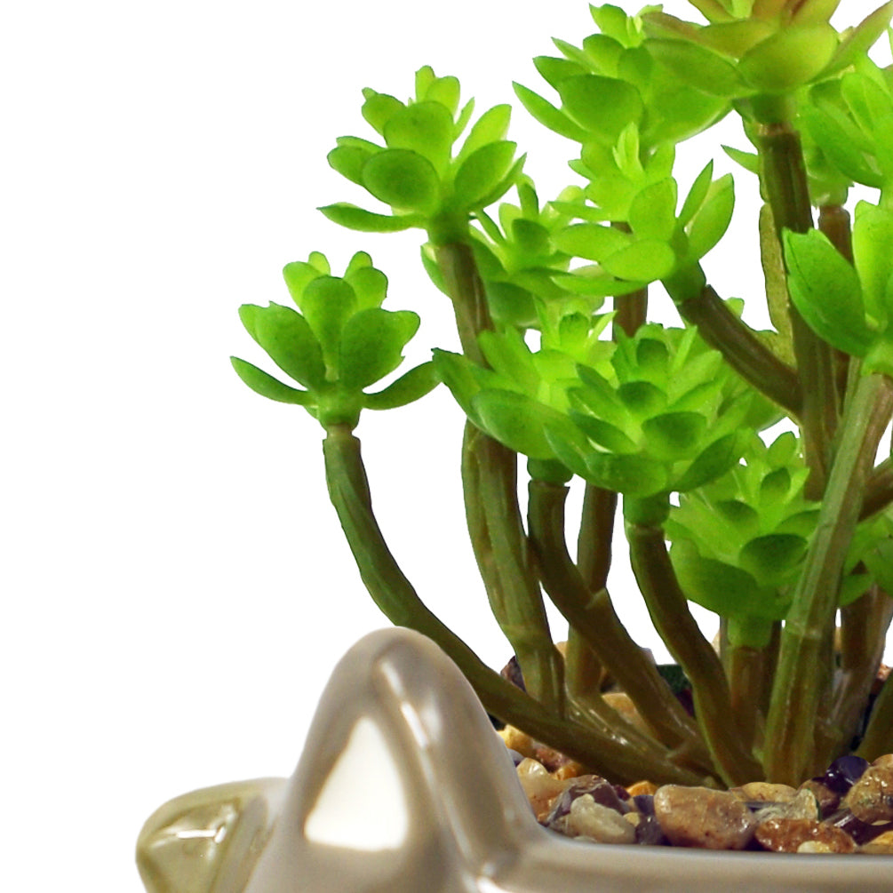 15cm Ceramic Grey Fox Planter with Artificial Sedum Clavatum Plant