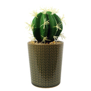 Set of Three 17cm Ceramic Stone Stripe Planter with Artificial Cactus Dracaena & Succulents