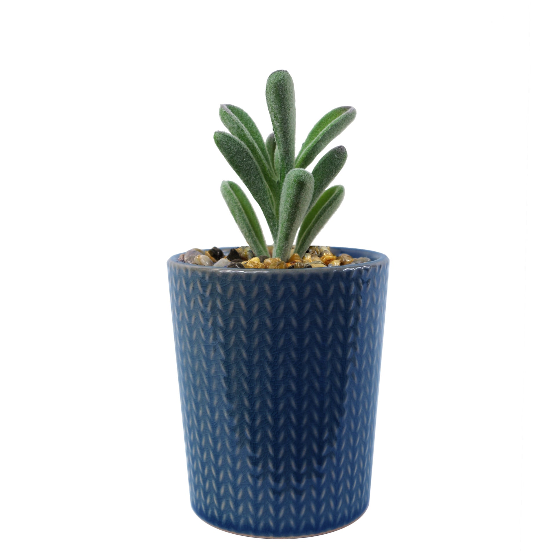 17cm Ceramic Blue Stripe Planter with Artificial Succulent Plant