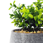 17cm Ceramic Tall Blue Planter with Artificial Crassula Plant