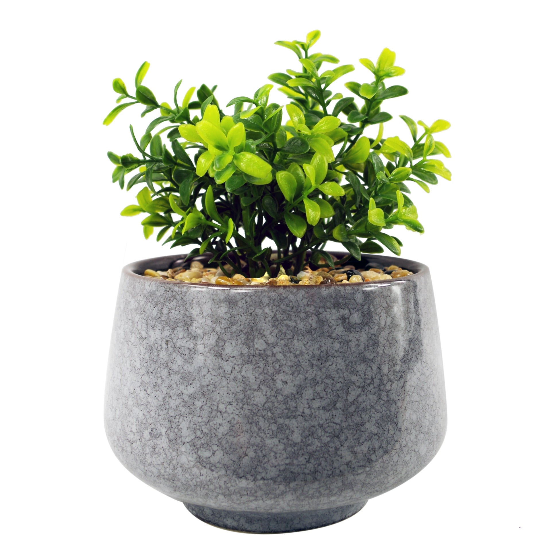 17cm Ceramic Tall Blue Planter with Artificial Crassula Plant