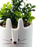 20cm Ceramic White Rabbit Planter with Artificial Foliage Plant