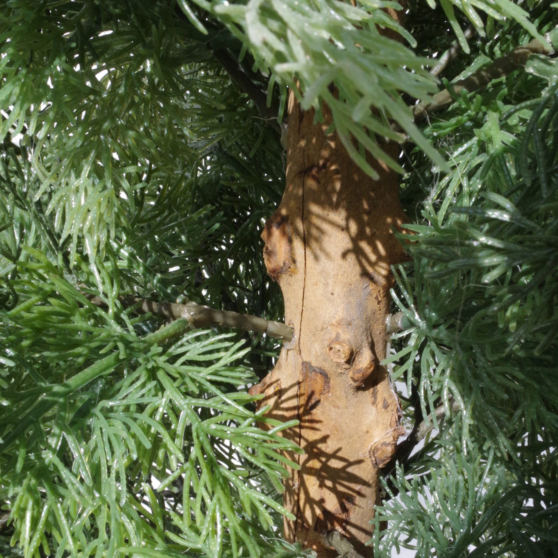 95cm Artificial Cedar Cypress Artificial Bushy Topiary Tree UV Protected