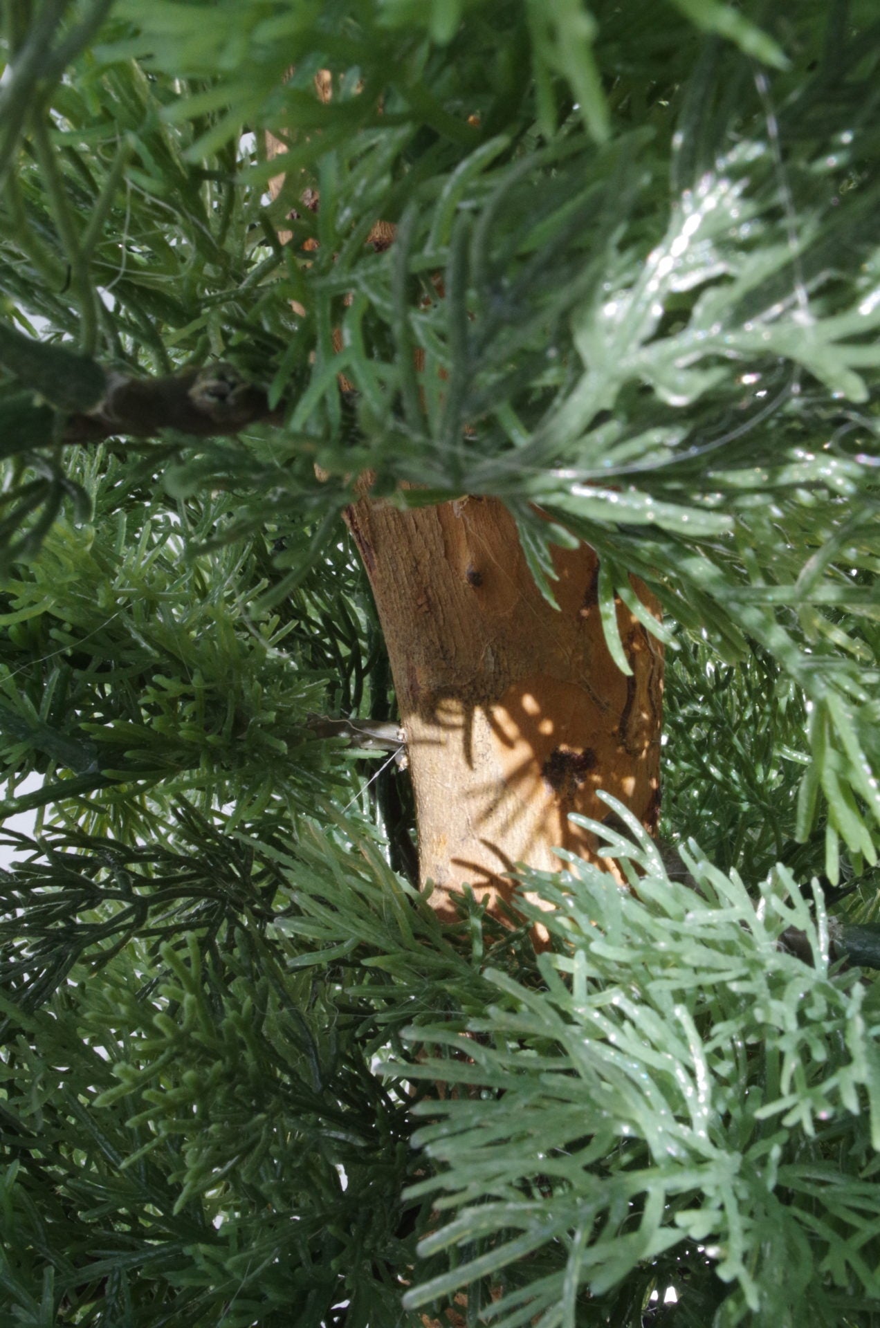 95cm Artificial Cedar Cypress Artificial Bushy Topiary Tree UV Protected