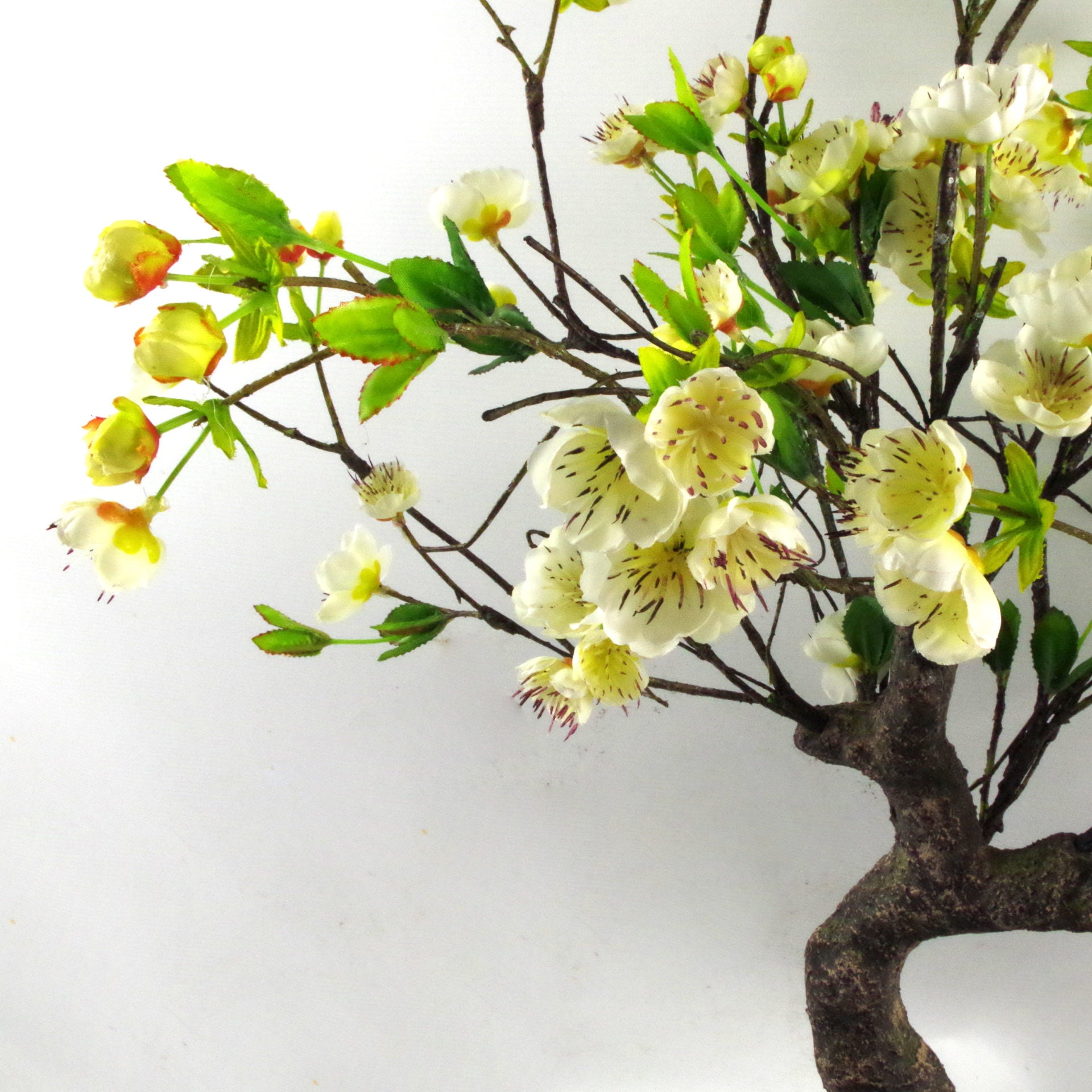 60cm Artificial White Blossom Bonsai Tree