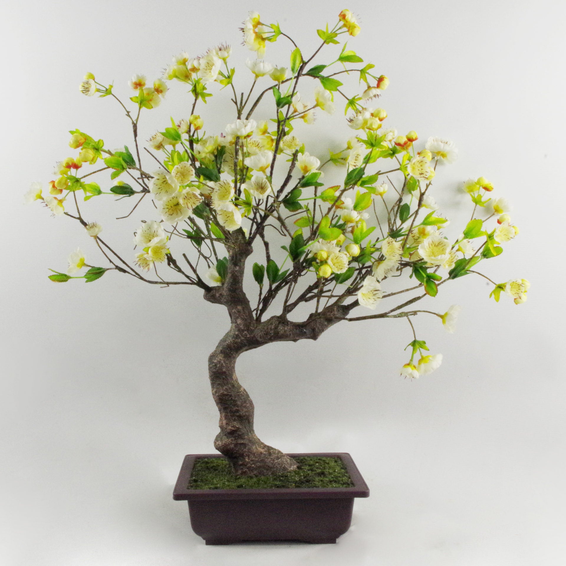 60cm Artificial White Blossom Bonsai Tree