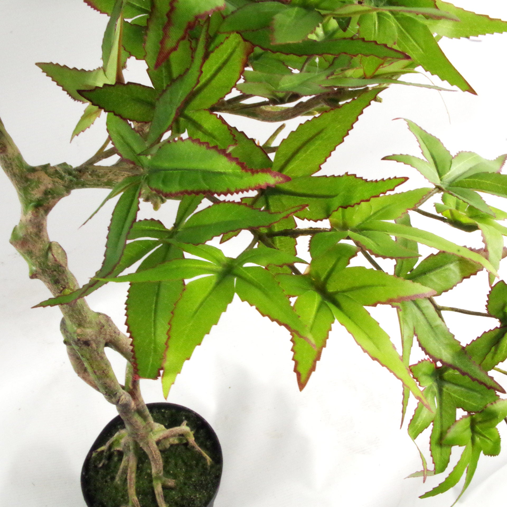 60cm Artificial Maple Bonsai Tree