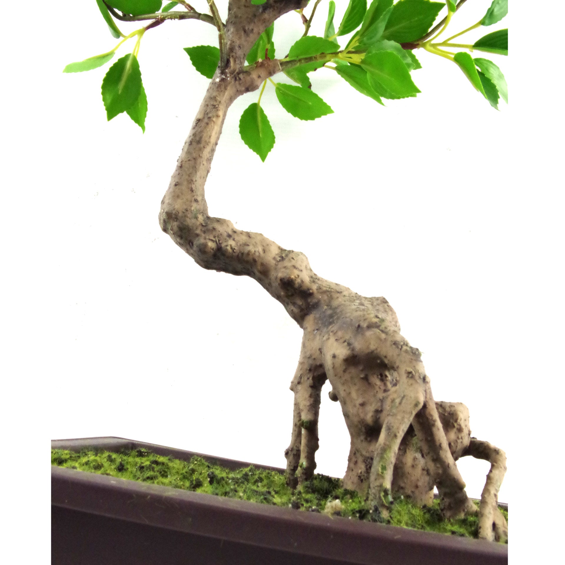 50cm Artificial Ficus Bonsai Tree