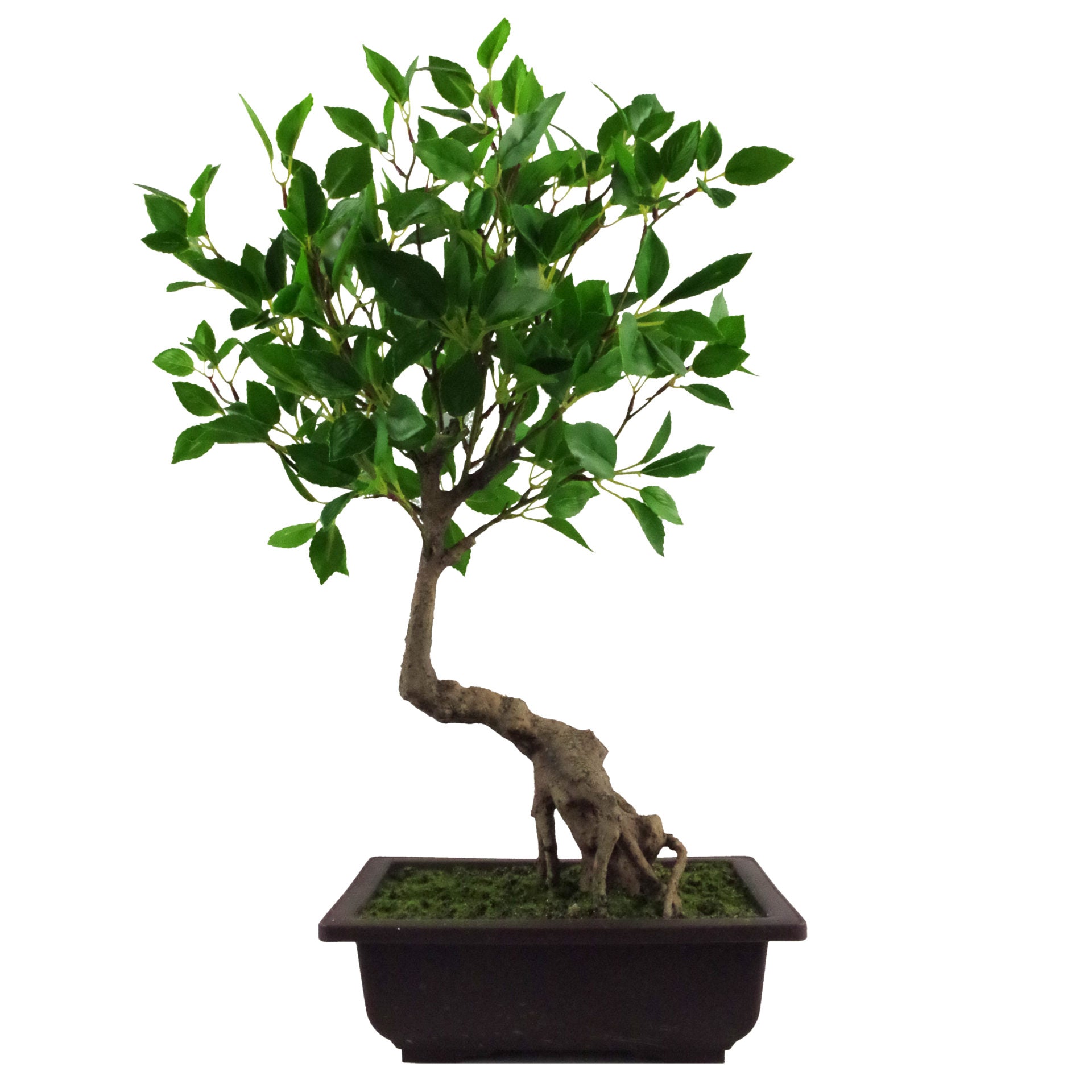 50cm Artificial Ficus Bonsai Tree