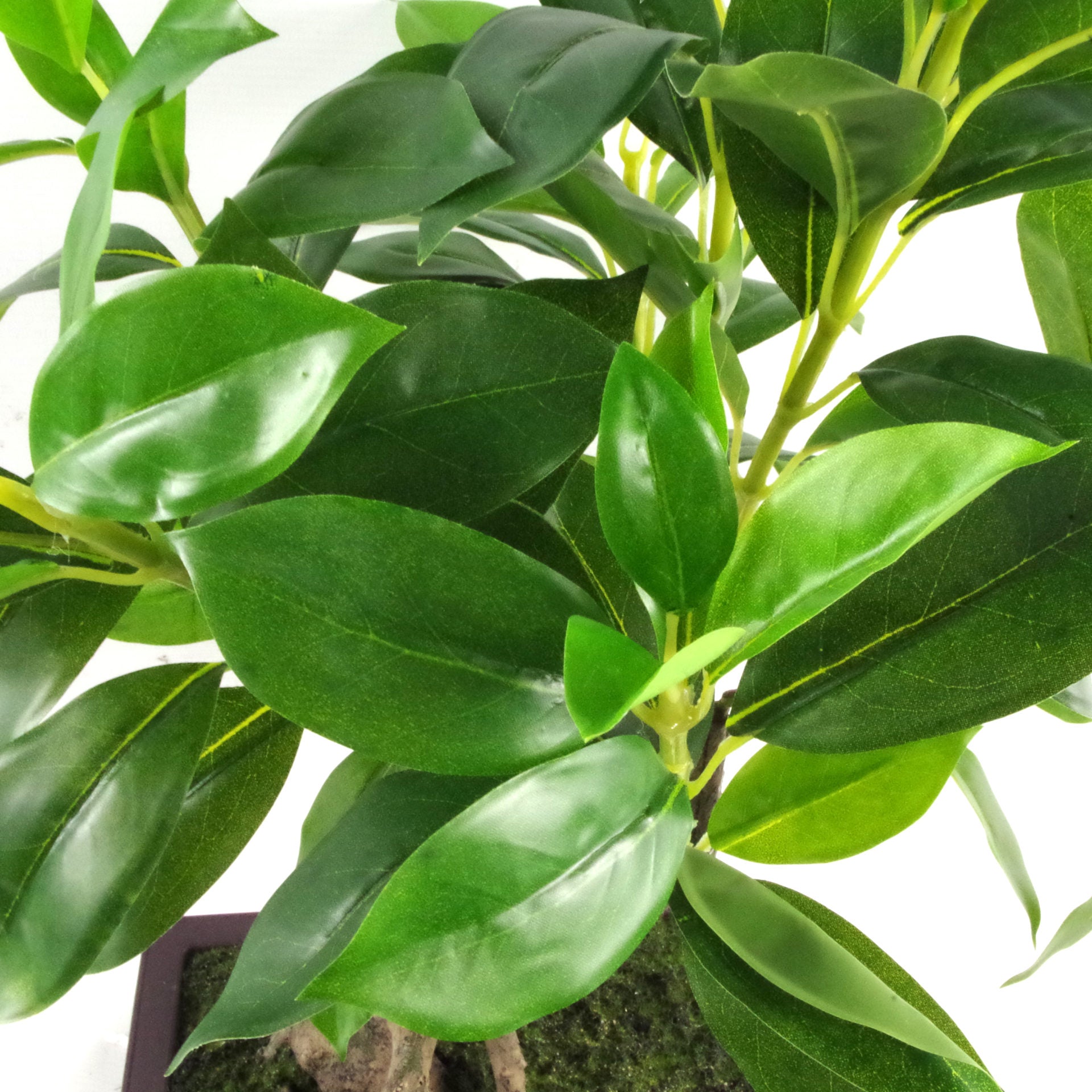 50cm Artificial Ficus Large Leaf Bonsai Tree