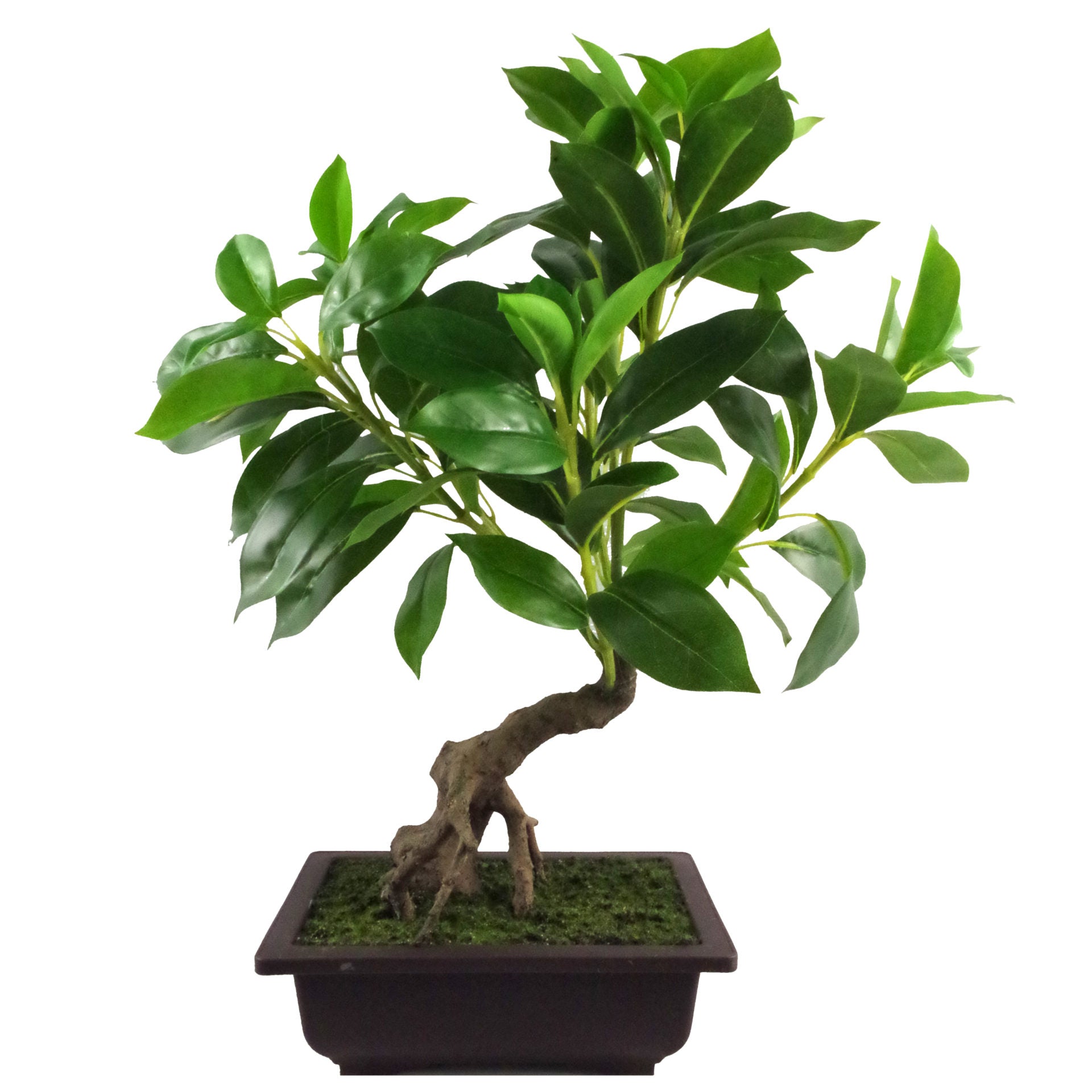 50cm Artificial Ficus Large Leaf Bonsai Tree