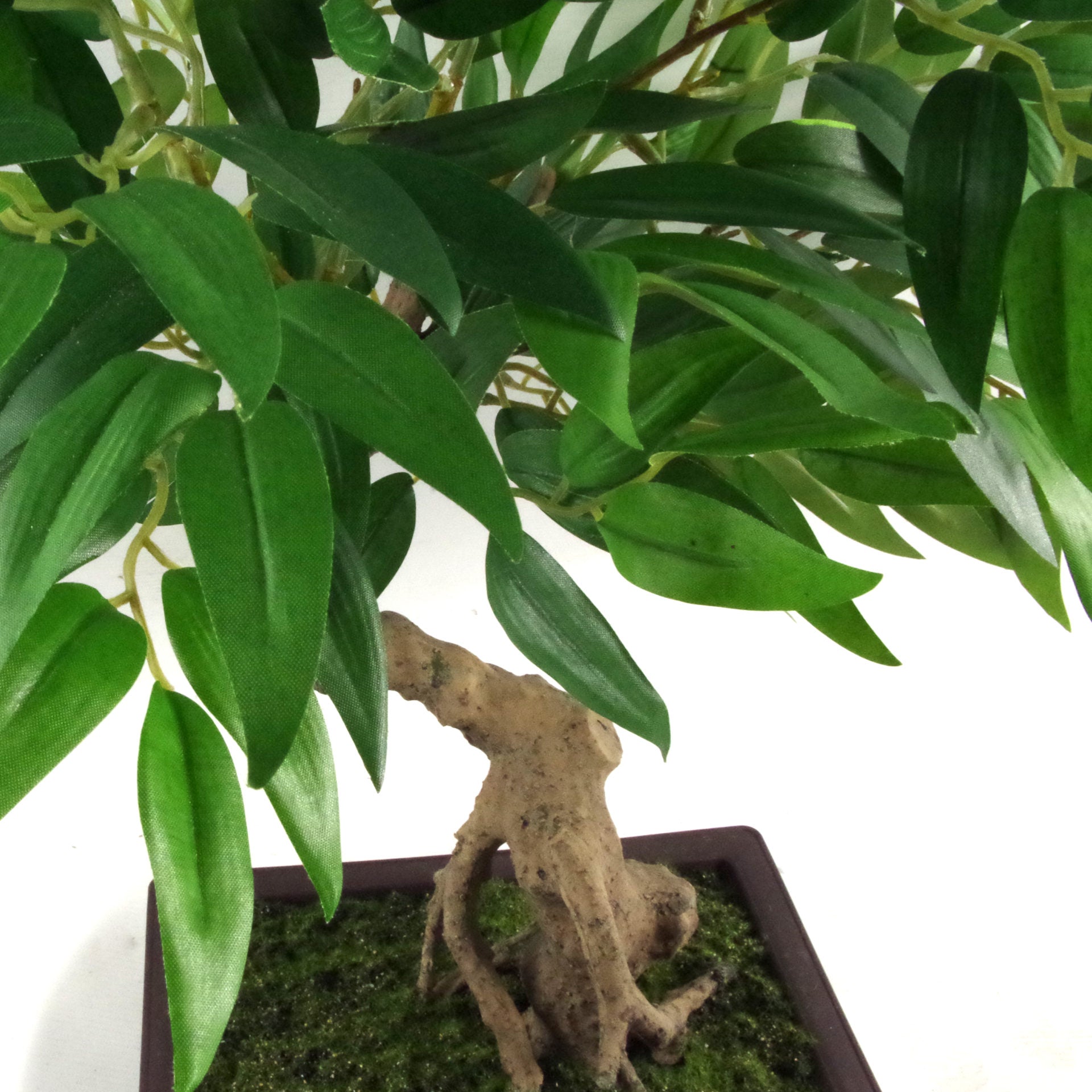 50cm Artificial Ruscus Acacia Bonsai Tree