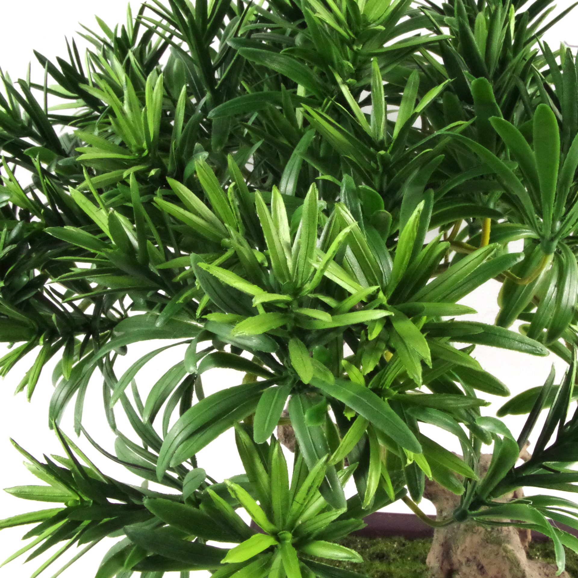 40cm Artificial Podocarpus Pine Bonsai Tree