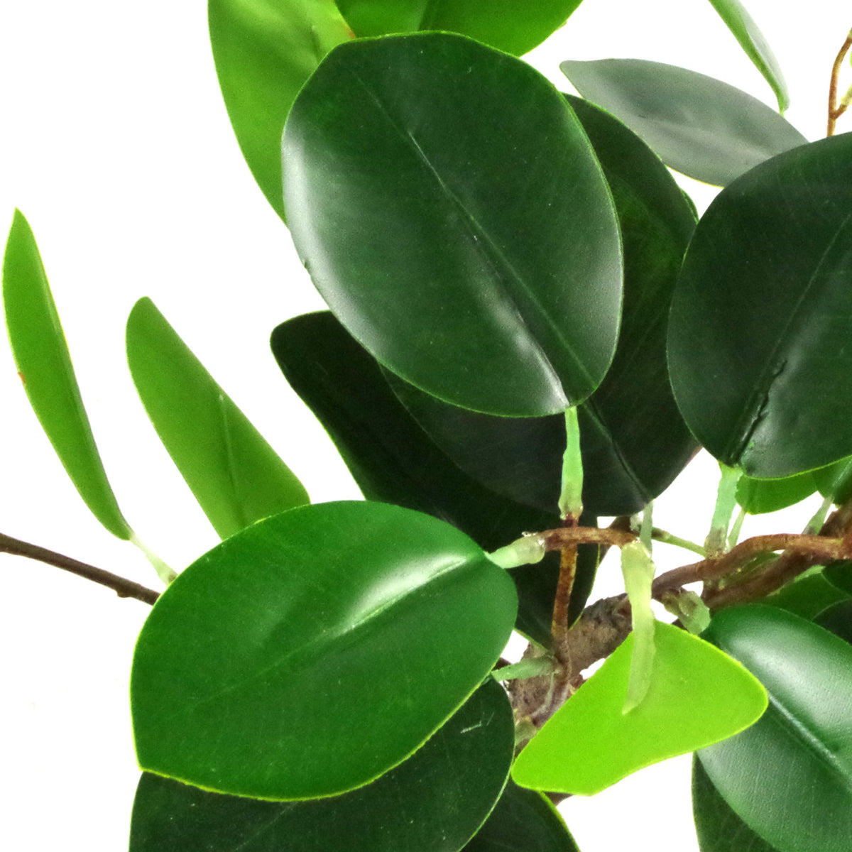 50cm Artificial Ficus Rounded Leaf Bonsai Tree – Woven Wood