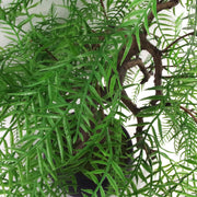 50cm Artificial Luxury Willow Bonsai Tree