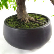 50cm Artificial Luxury Ficus Bonsai Tree