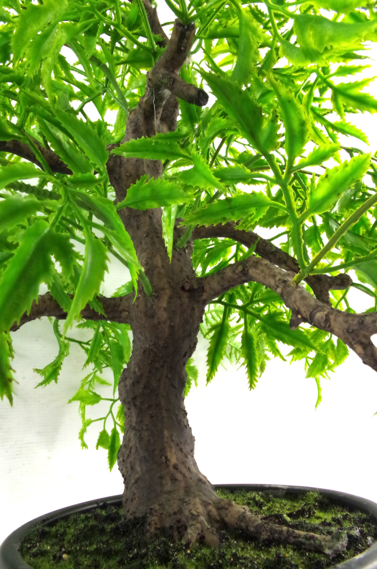 50cm Artificial Luxury Ficus Bonsai Tree