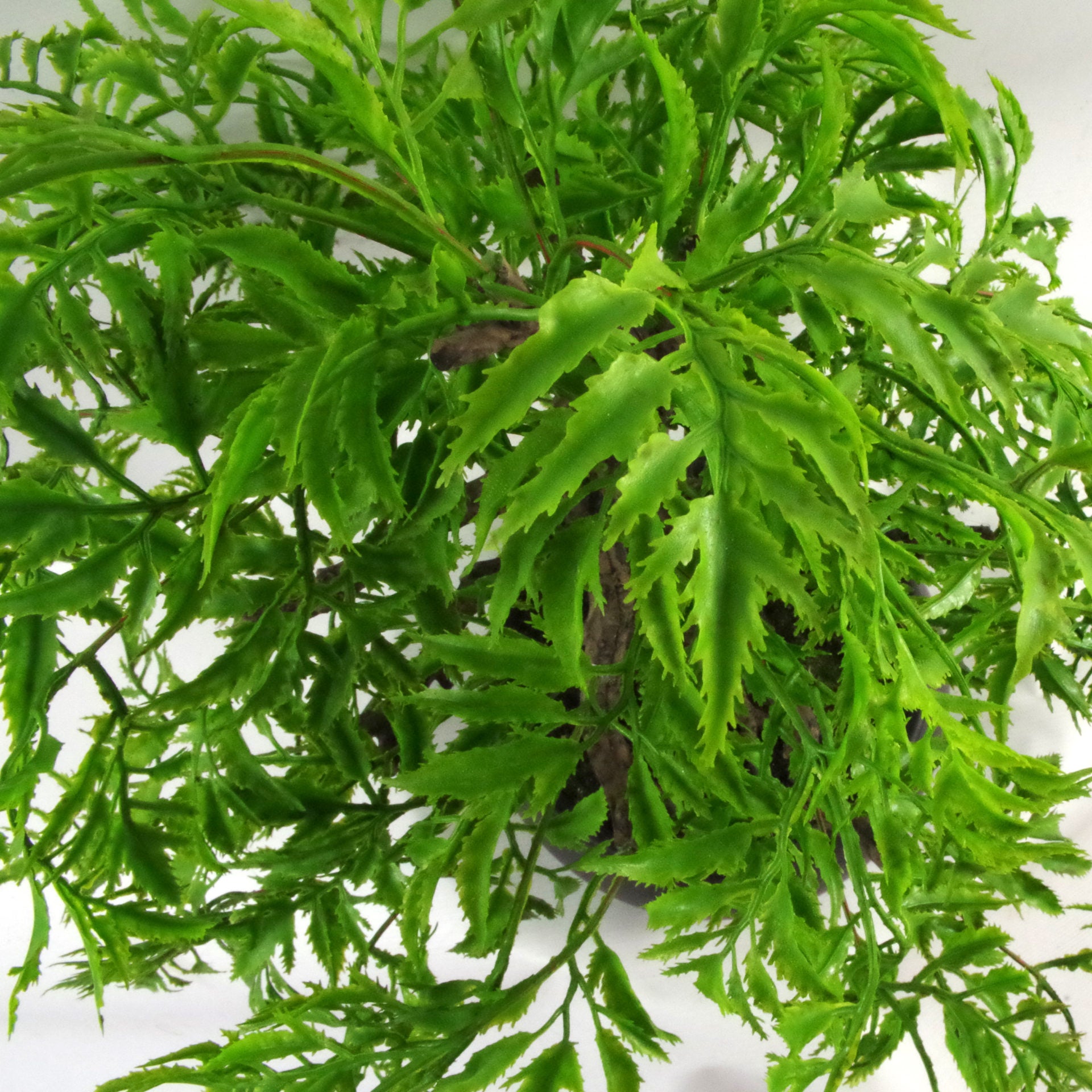 50cm Artificial Luxury Ficus Bonsai Tree