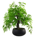 50cm Artificial Luxury Ficus Bonsai Tree
