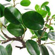 40cm Artificial Ficus Bonsai Tree