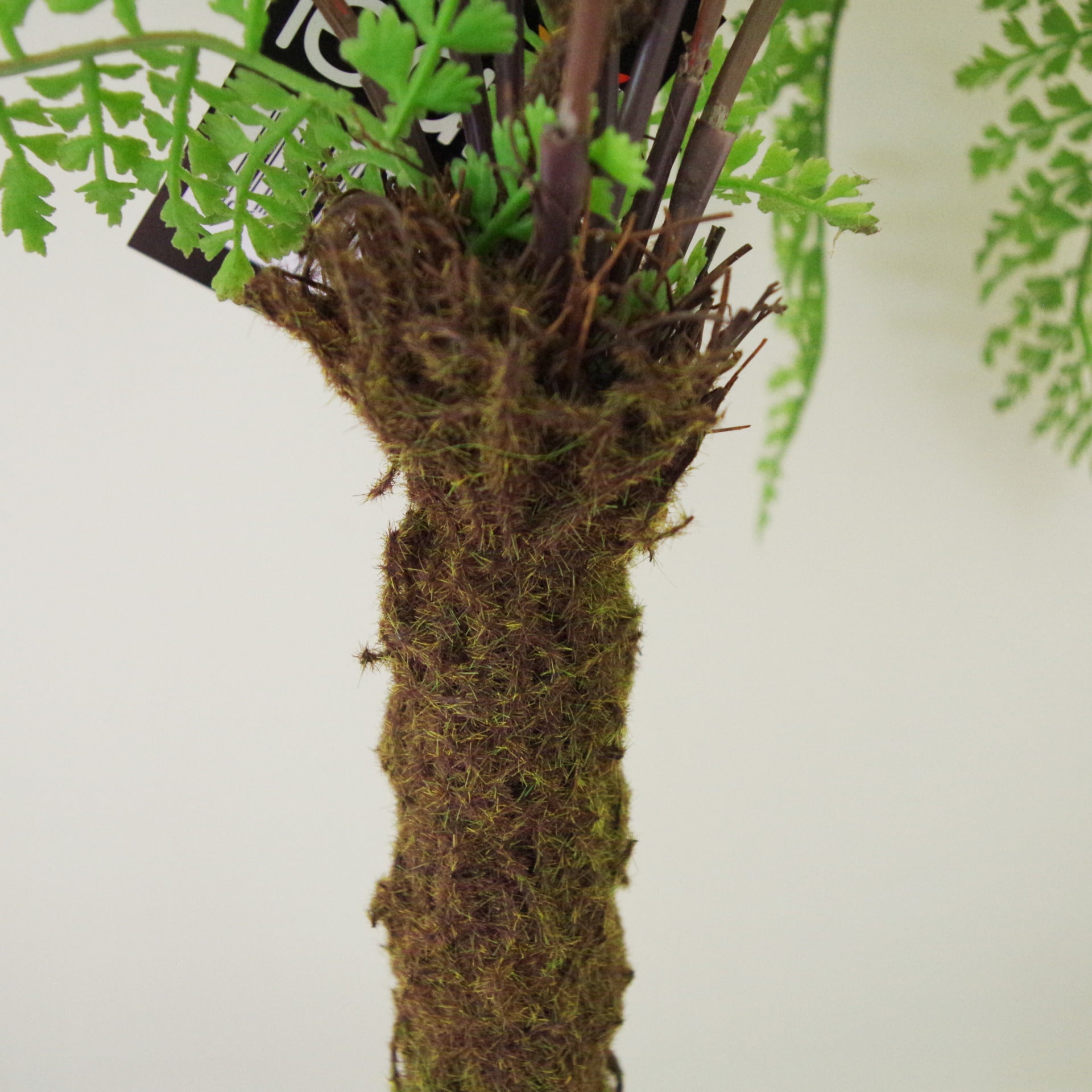 65cm Realistic Artificial Fern Plant
