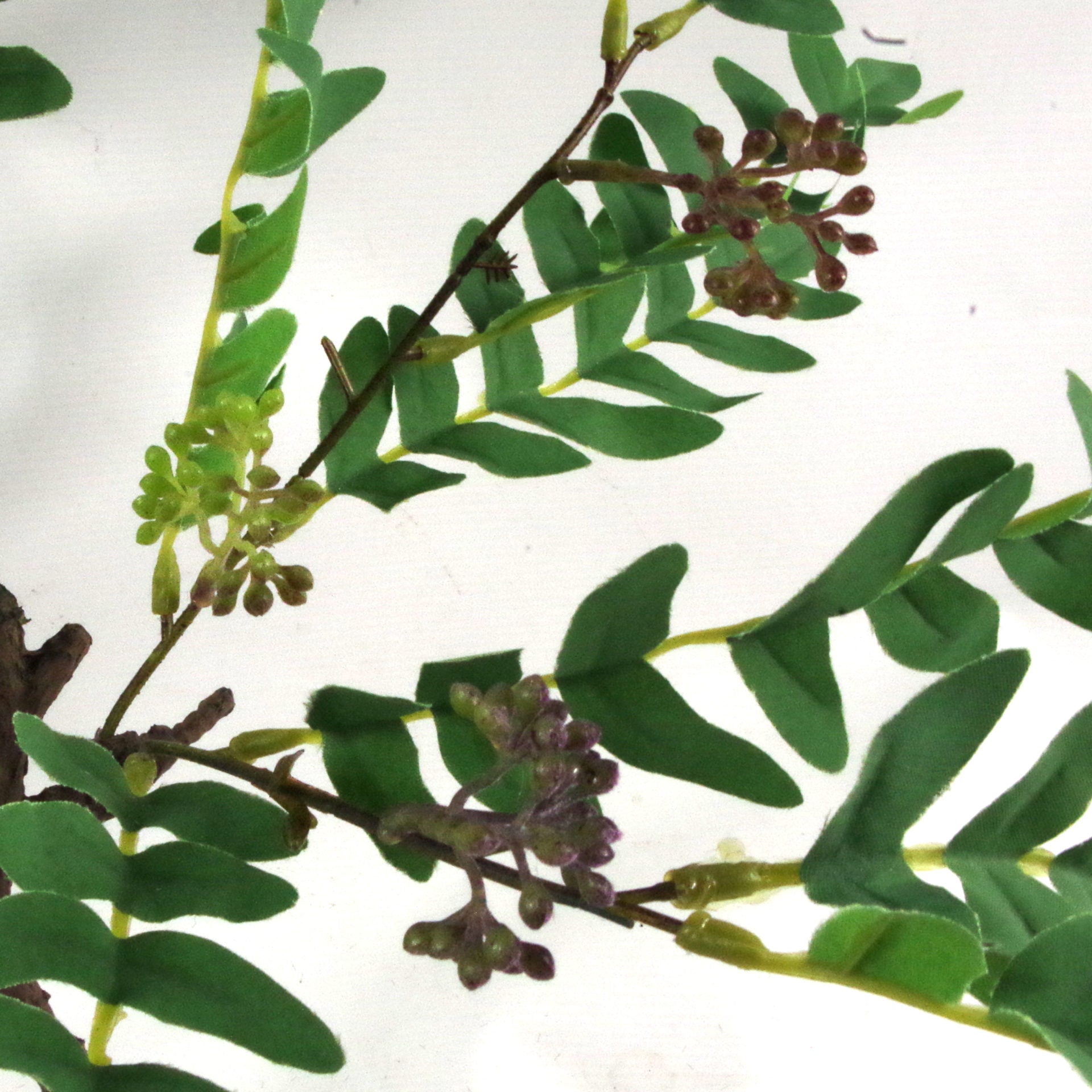 50cm Artificial Evergreen Foliage Plant with Berries