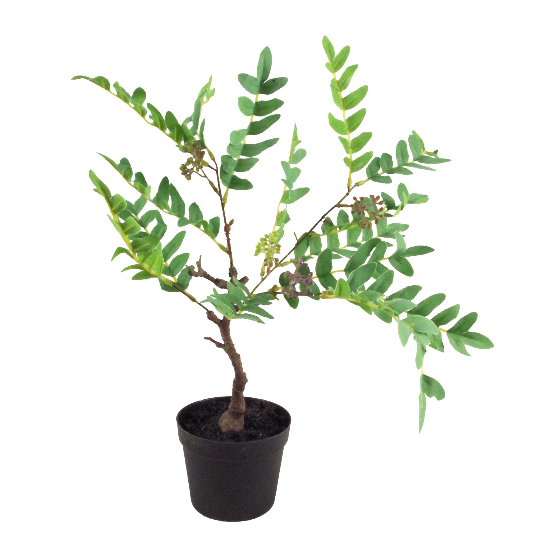 50cm Artificial Evergreen Foliage Plant with Berries