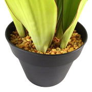 70cm Artificial Sansevieria Moonshine Plant