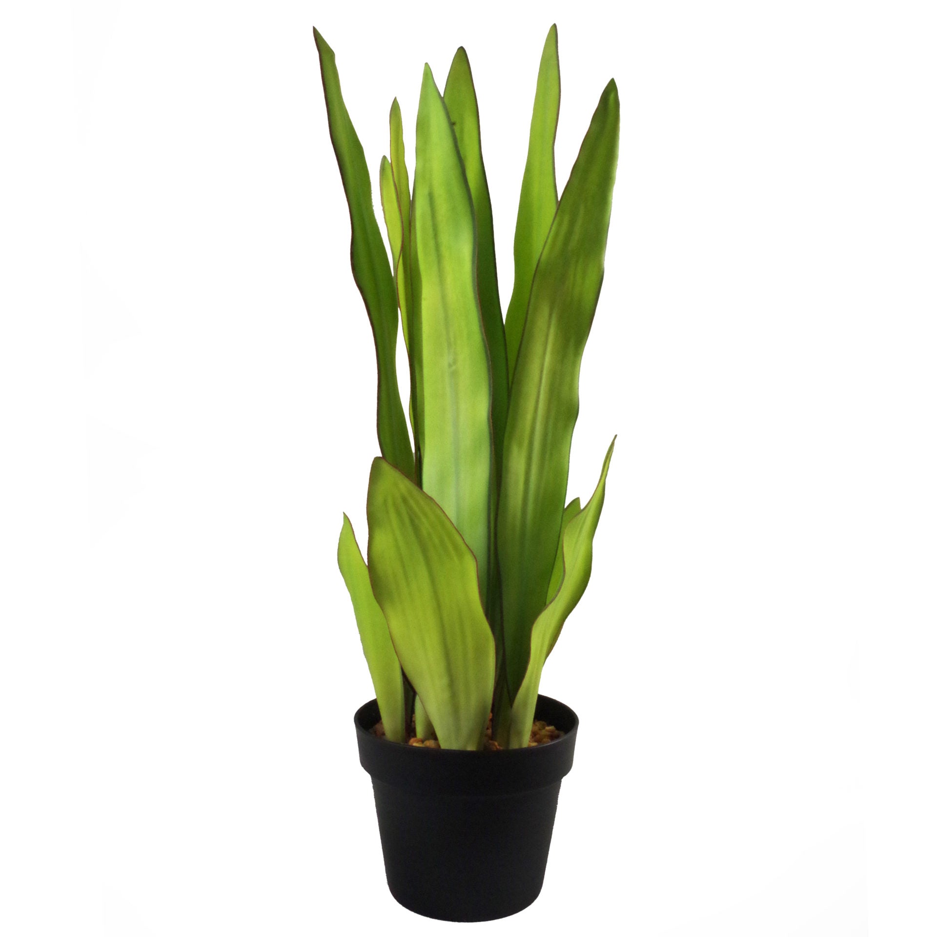 70cm Artificial Sansevieria Moonshine Plant