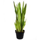 70cm Artificial Sansevieria Moonshine Plant