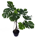 70cm Artificial Twisted Stem Monstera Plant