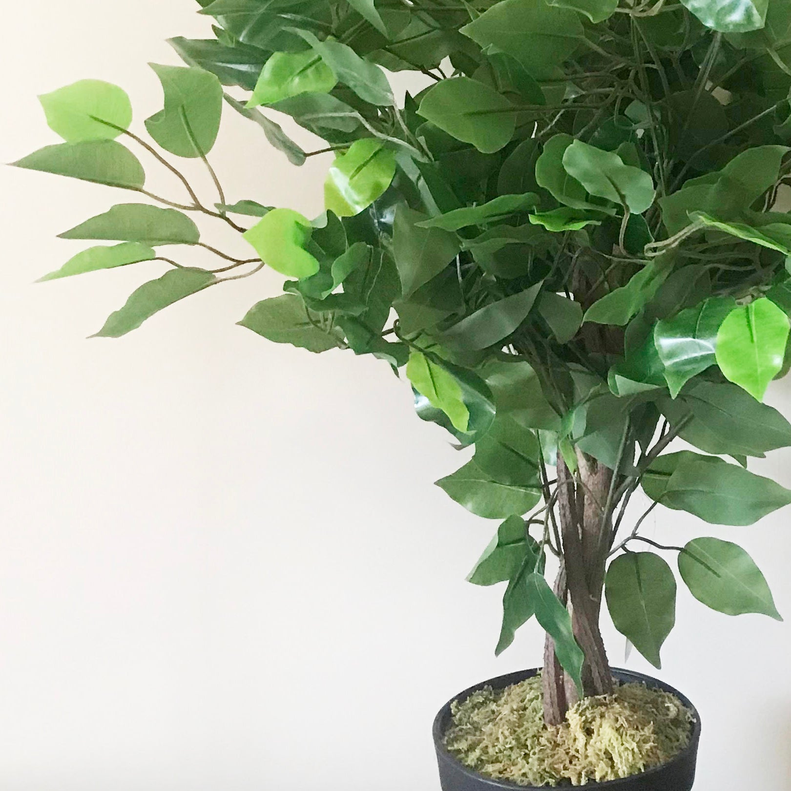 60cm Artificial Ficus Tree / Plant - Large Bushy Shape