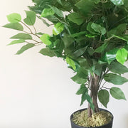 60cm Artificial Ficus Tree / Plant - Large Bushy Shape